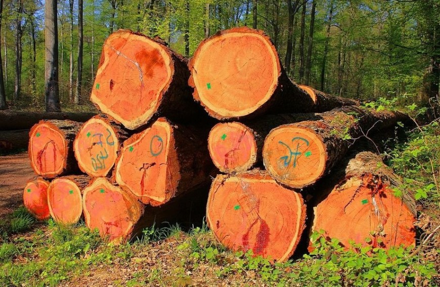 Деревообрабатывающий комплекс экспортного качества продукции