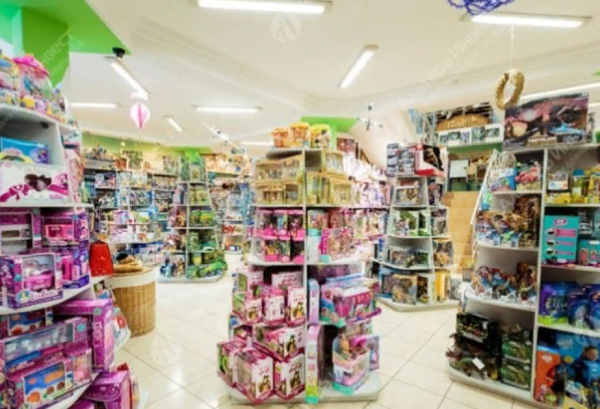 Сеть магазинов детских игрушек