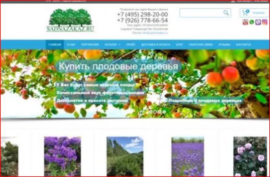 Интернет магазин крупномерных растений садназаказ