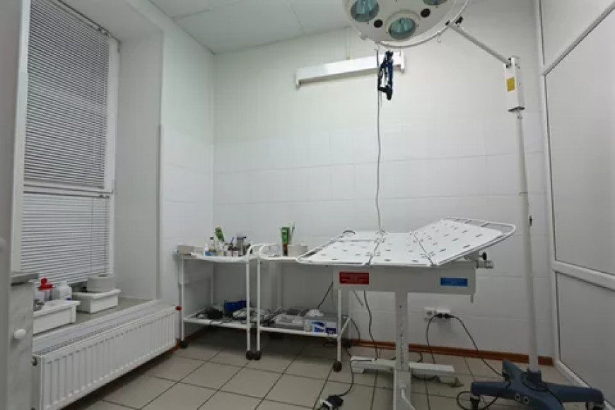 Ветеринарная клиника в Приморском р-не