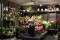 Салон цветов и подарков на Дыбенко 1